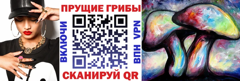 Псилоцибиновые грибы Magic Shrooms  Нарьян-Мар 