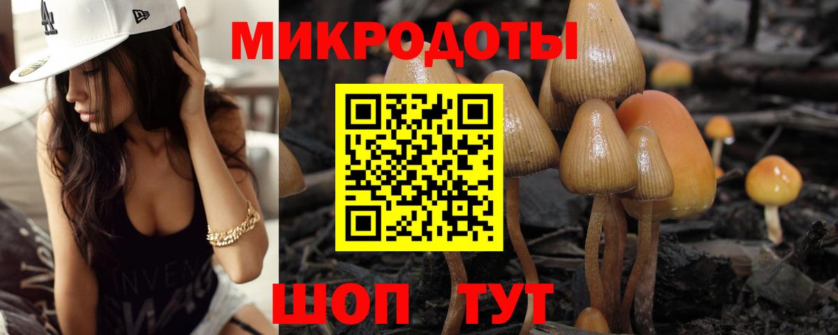 Нарьян-Мар  Псилоцибиновые грибы Psilocybe  Вход с VPN 
