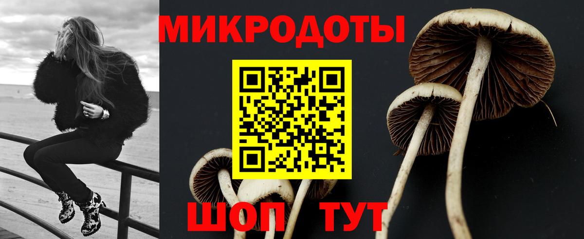 Псилоцибиновые грибы Cubensis Нарьян-Мар
